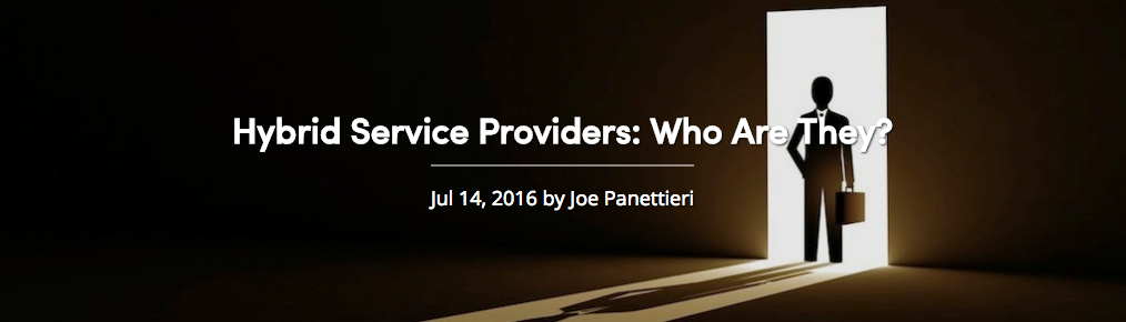 Hybrid Service Providers: Who Are They?