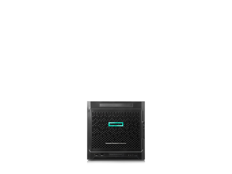 Home (Personal) <br> HPE MicroServer Gen10